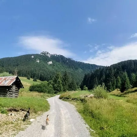 Сasa de vacaciones Drevenica Harmony