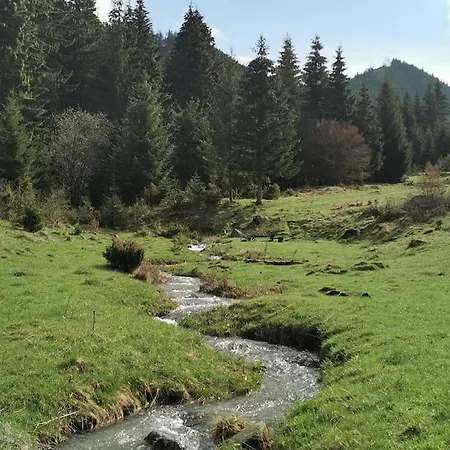 Drevenica Harmony Ruzomberok