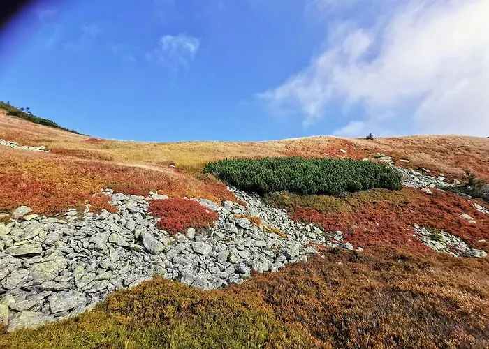 Drevenica Harmony 度假居