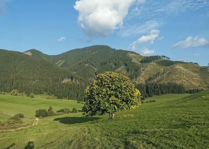 Drevenica Harmony 度假居 *