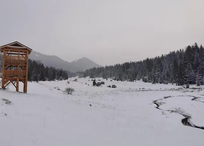 Drevenica Harmony Сasa de vacaciones Ruzomberok