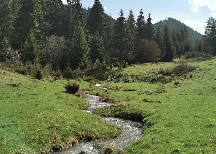 Drevenica Harmony Ruzomberok