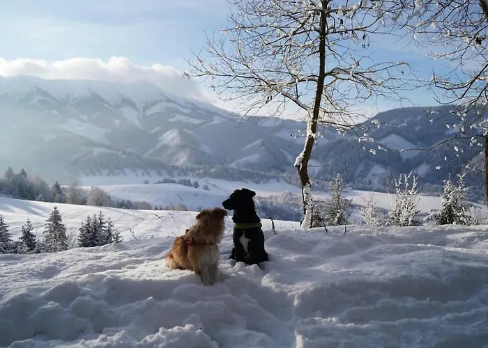 Drevenica Harmony Сasa de vacaciones